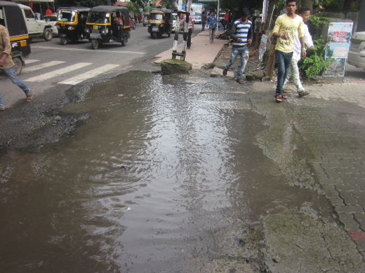 Figure 4: A pond on Park Avenue ((c) Roman Ville Glasauer)